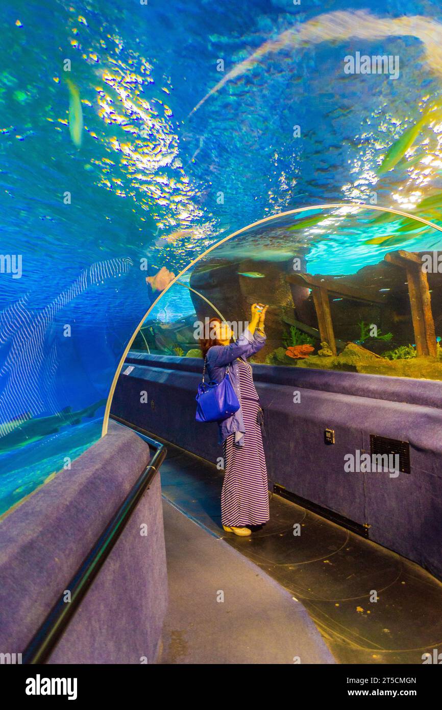 Tourist women enjoying the marine life in a tank of SeaLife aquarium,Istanbul cit.The TurkuaZoo -first public aquarium in Turkey Stock Photo