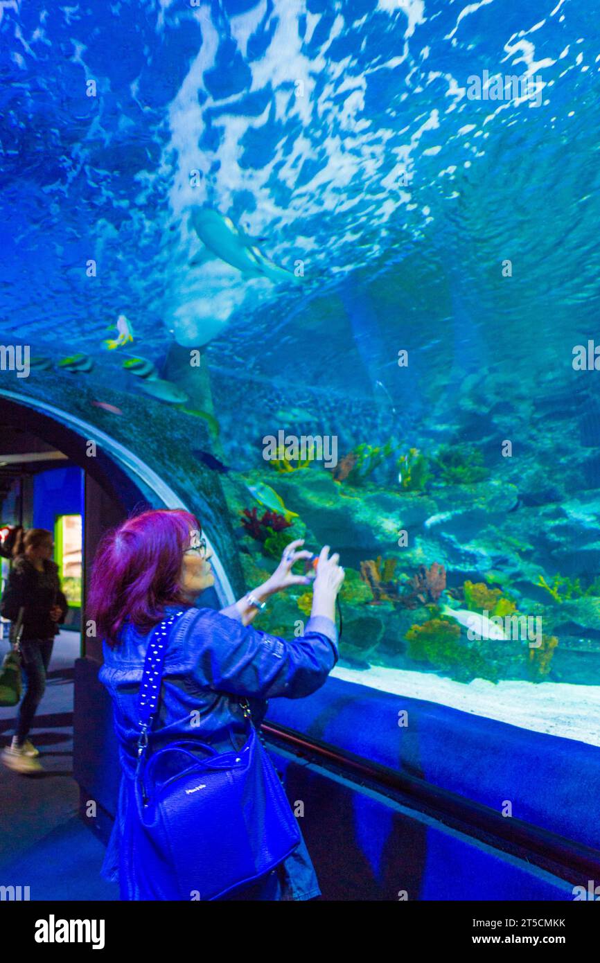 Tourist women enjoying the marine life in a tank of SeaLife aquarium,Istanbul cit.The TurkuaZoo -first public aquarium in Turkey Stock Photo