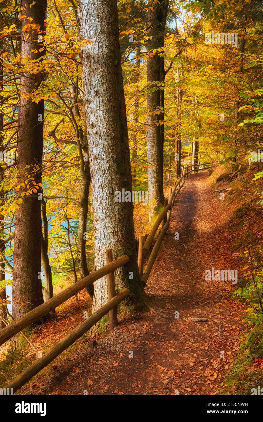 Immerse yourself in the enchantment of autumn as you step into a 