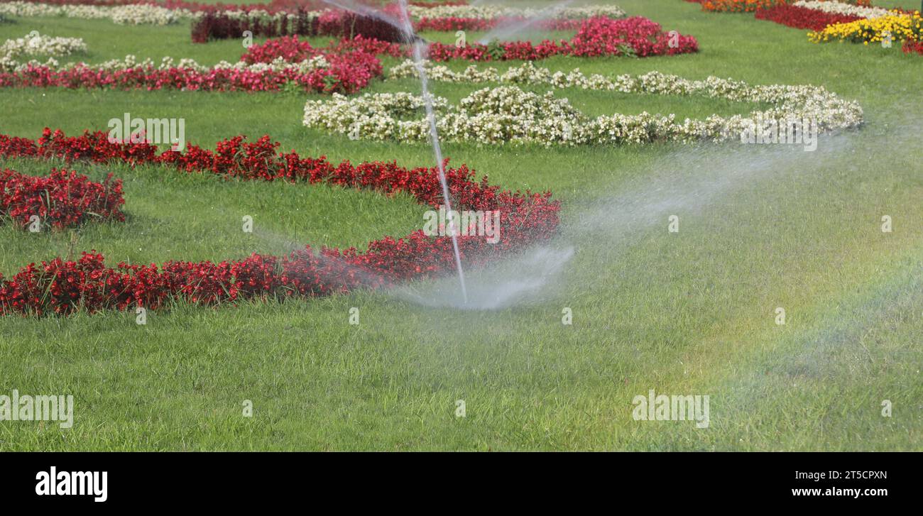 Automatic irrigation system of the flower garden with wellkept