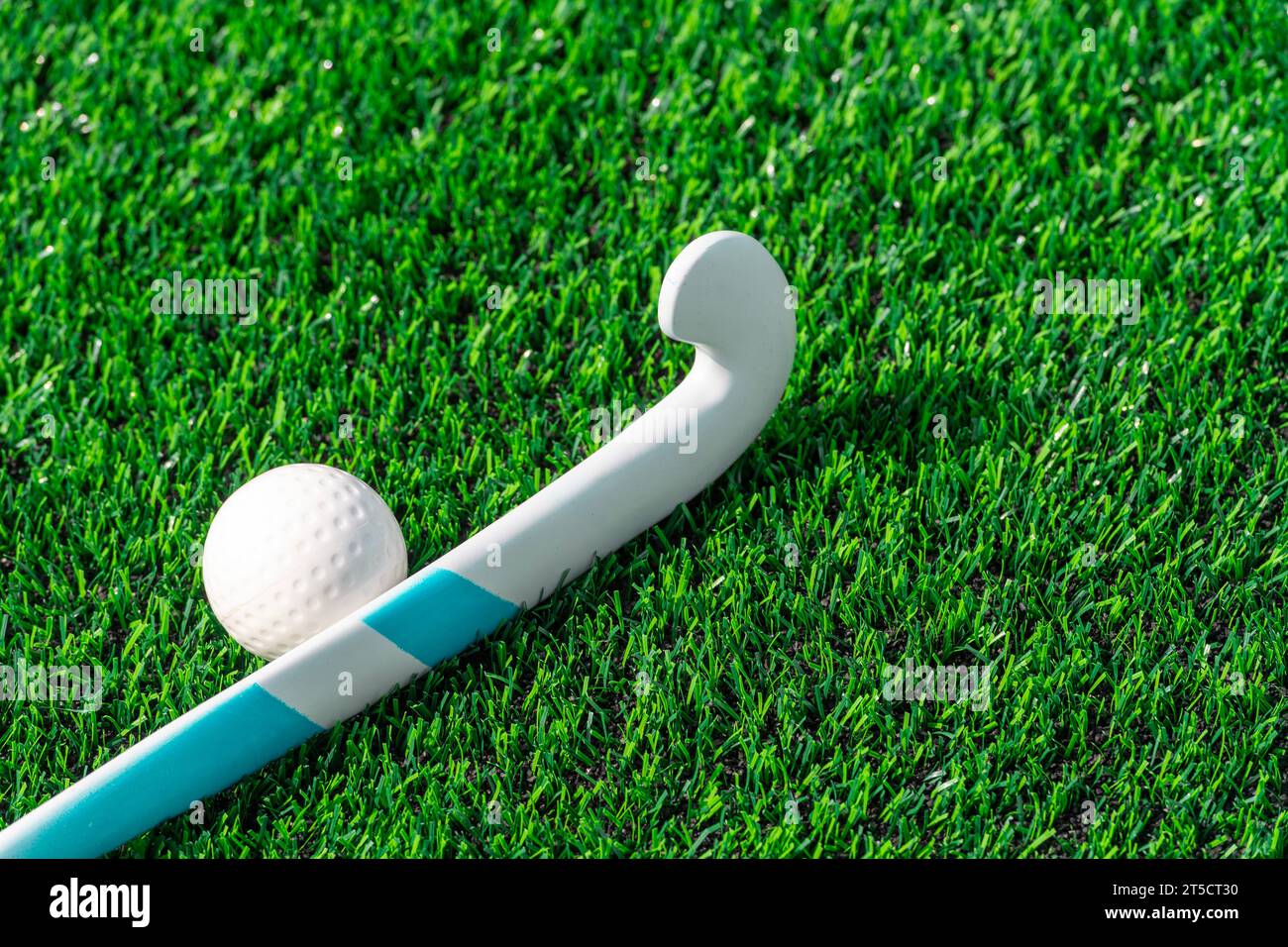 Field hockey stick and ball on green grass. Team sport concept. Horizontal sport theme poster, greeting cards, headers, website and app Stock Photo