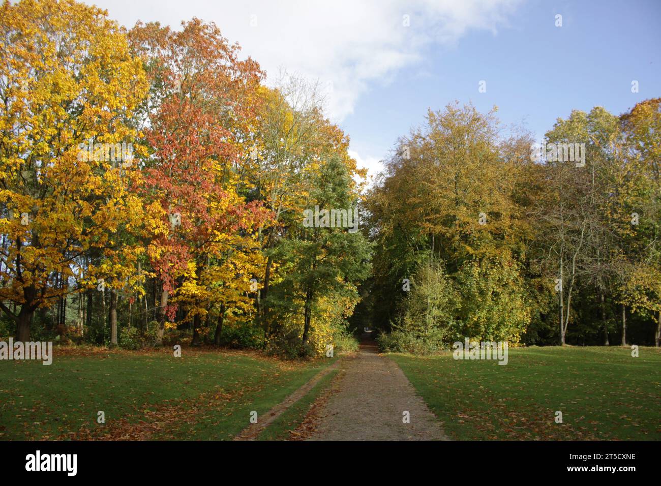 A Sussex woodland path acros a golf course in autumn Stock Photo
