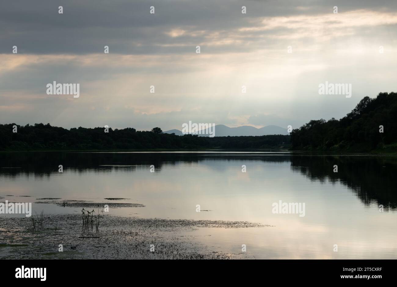 Sun rays in forest and river hi-res stock photography and images - Alamy