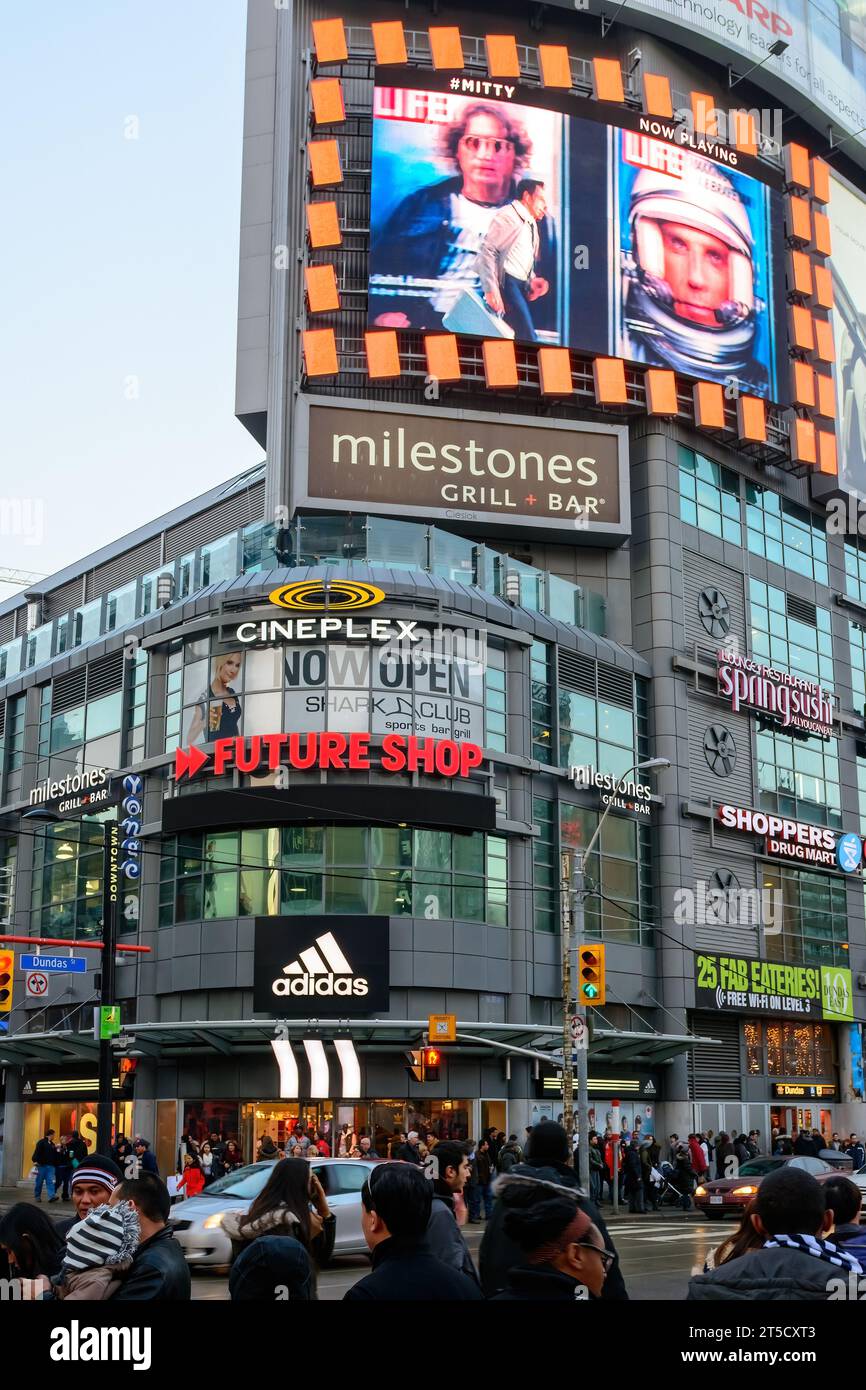 Adidas yonge dundas cheap