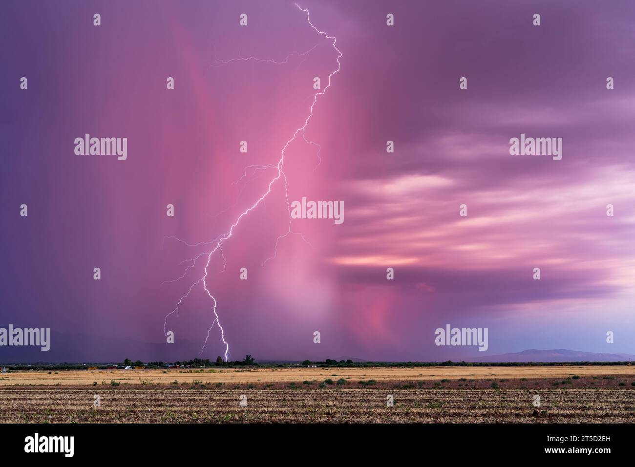 Sunset lightning storm near Tucson, Arizona Stock Photo