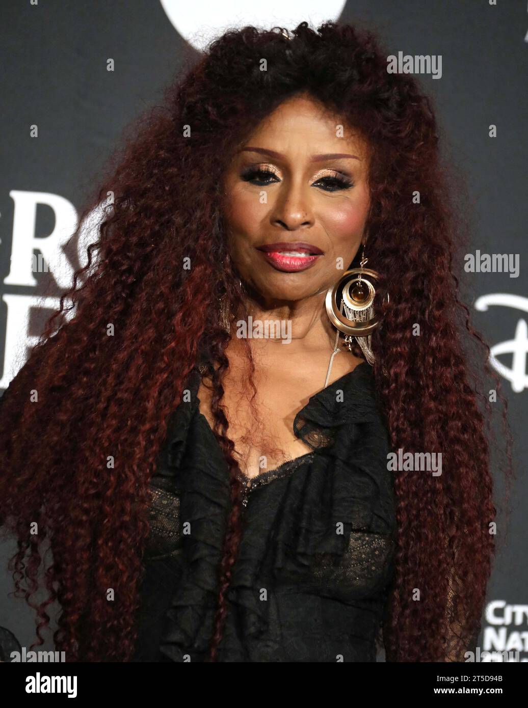 November 3, 2023, Brooklyn, New York, USA: Singer CHAKA KHAN seen in