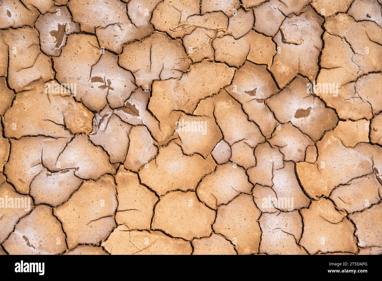 Dry cracked earth drought dry earth dry soil arid clay soil with cracks-Terre sèche et fissurée terre sèche terre sèche sol aride Stock Photo