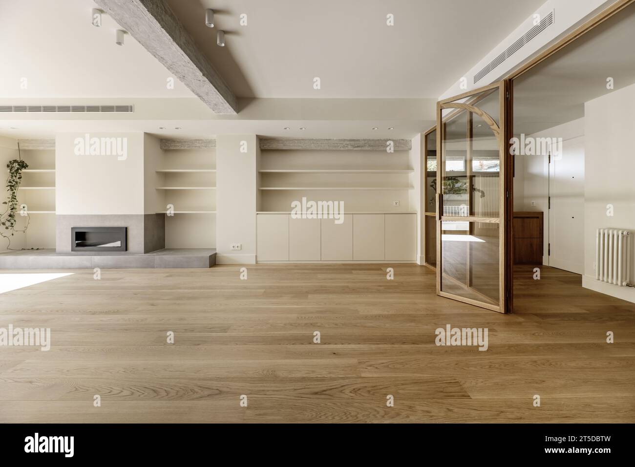Large unfurnished living room with a built-in bookcase Stock Photo
