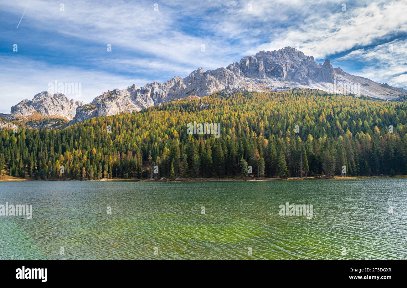 Autumn larch forest along a lake in the Dolomites Stock Photo