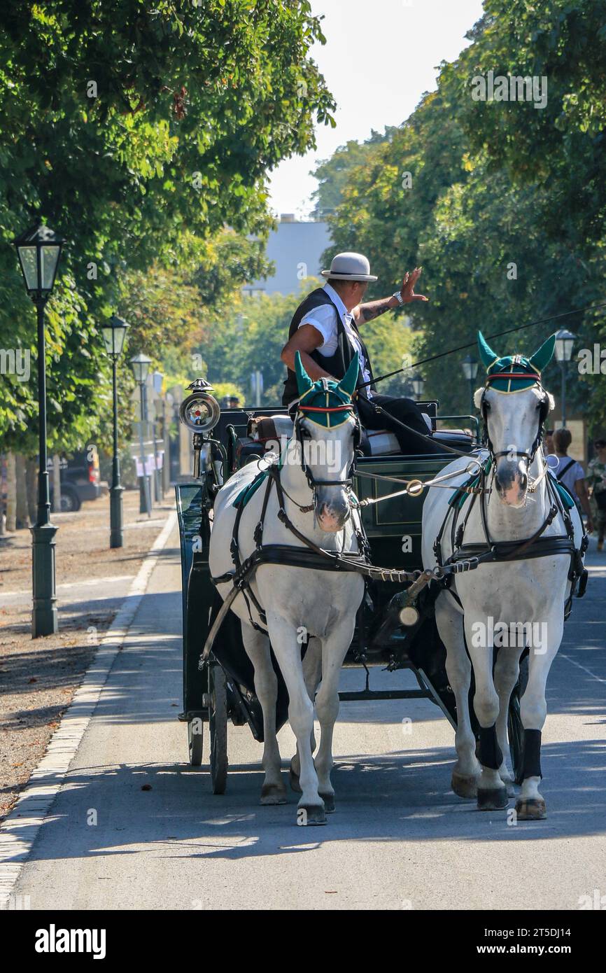 Horse carriage schonbrunn palace hi-res stock photography and images ...