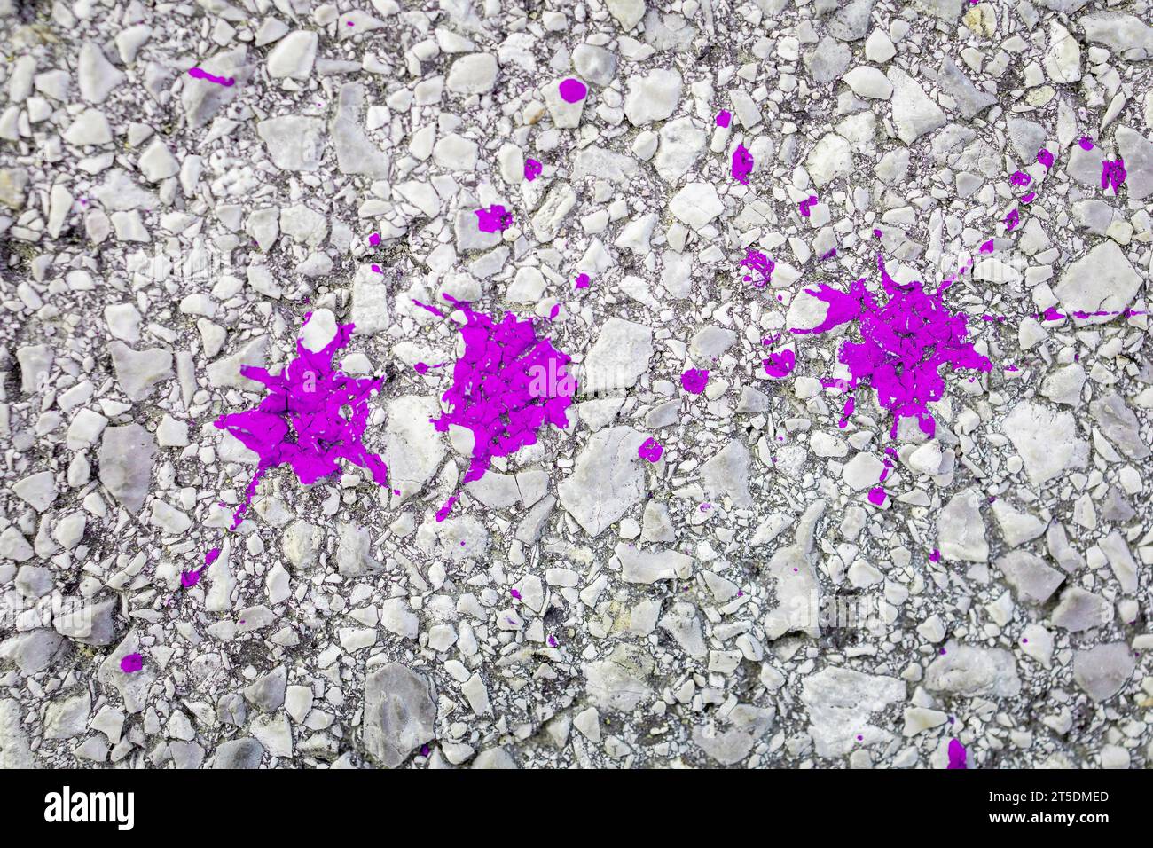 Pink colored splashes on the ground. Background, copy space Stock Photo