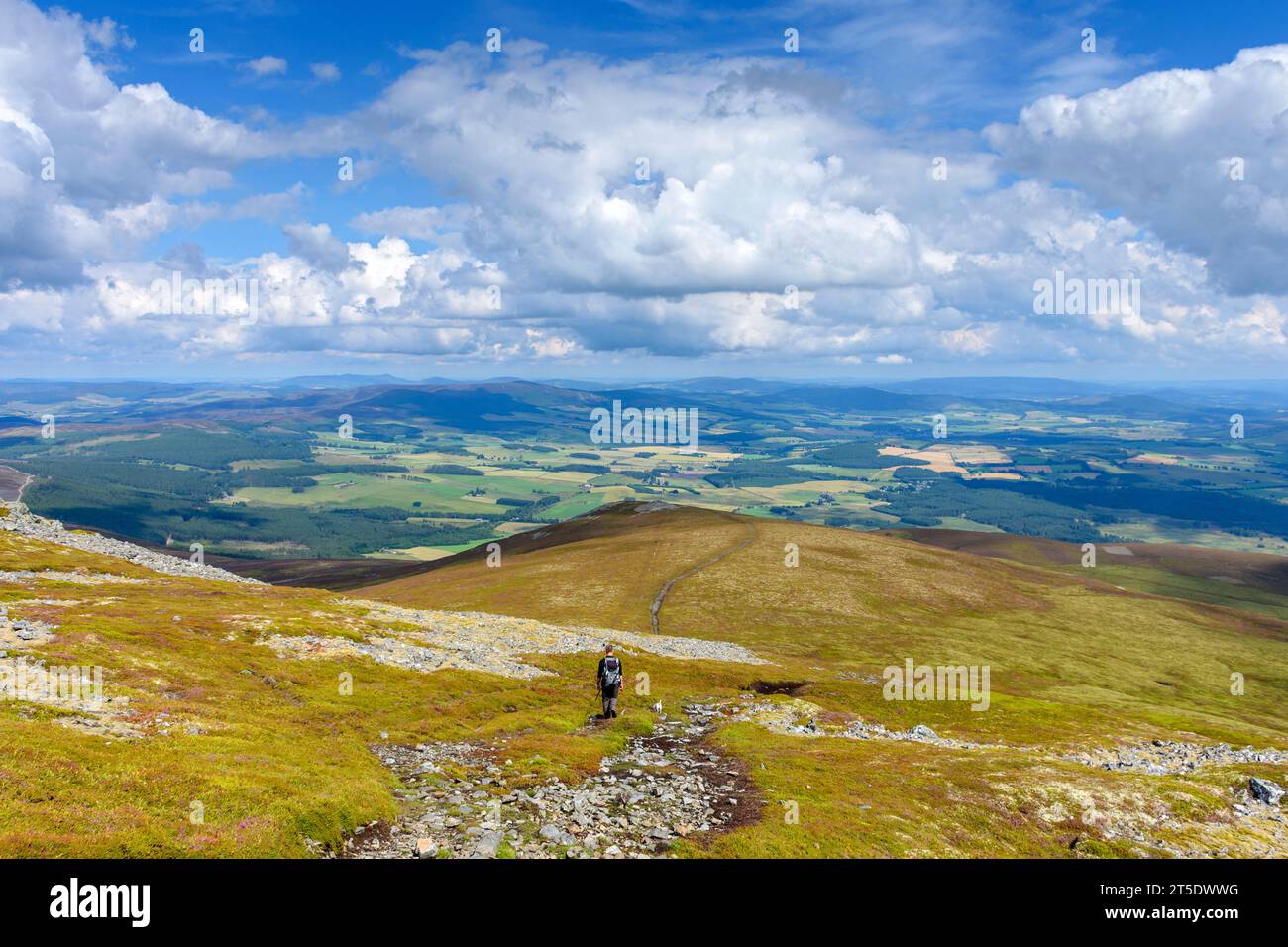 A walker descending the path below the summit of Morven, Aberdeenshire