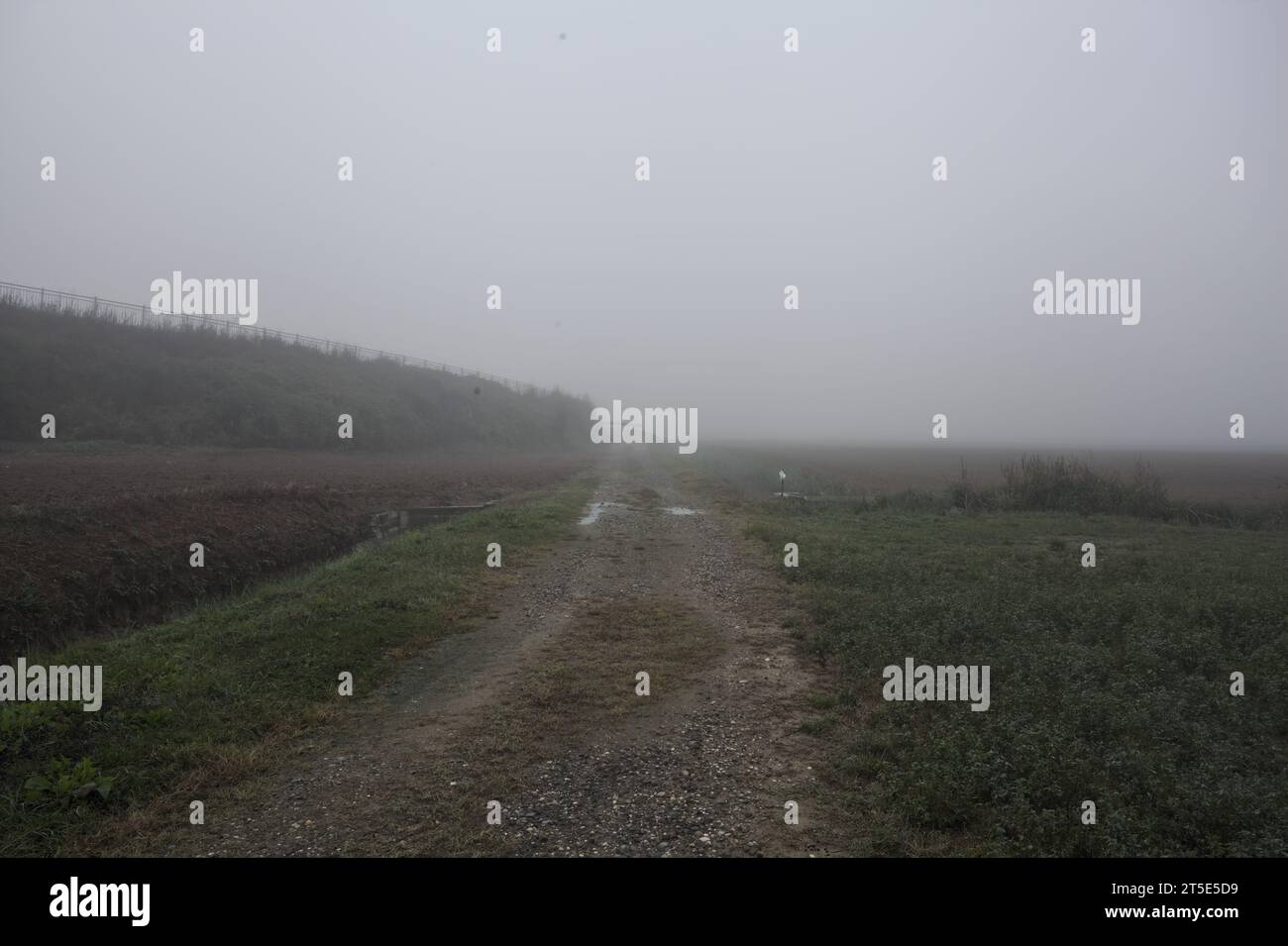 Path  bordered by a ditch next to a field on a foggy day in the italian countryside Stock Photo