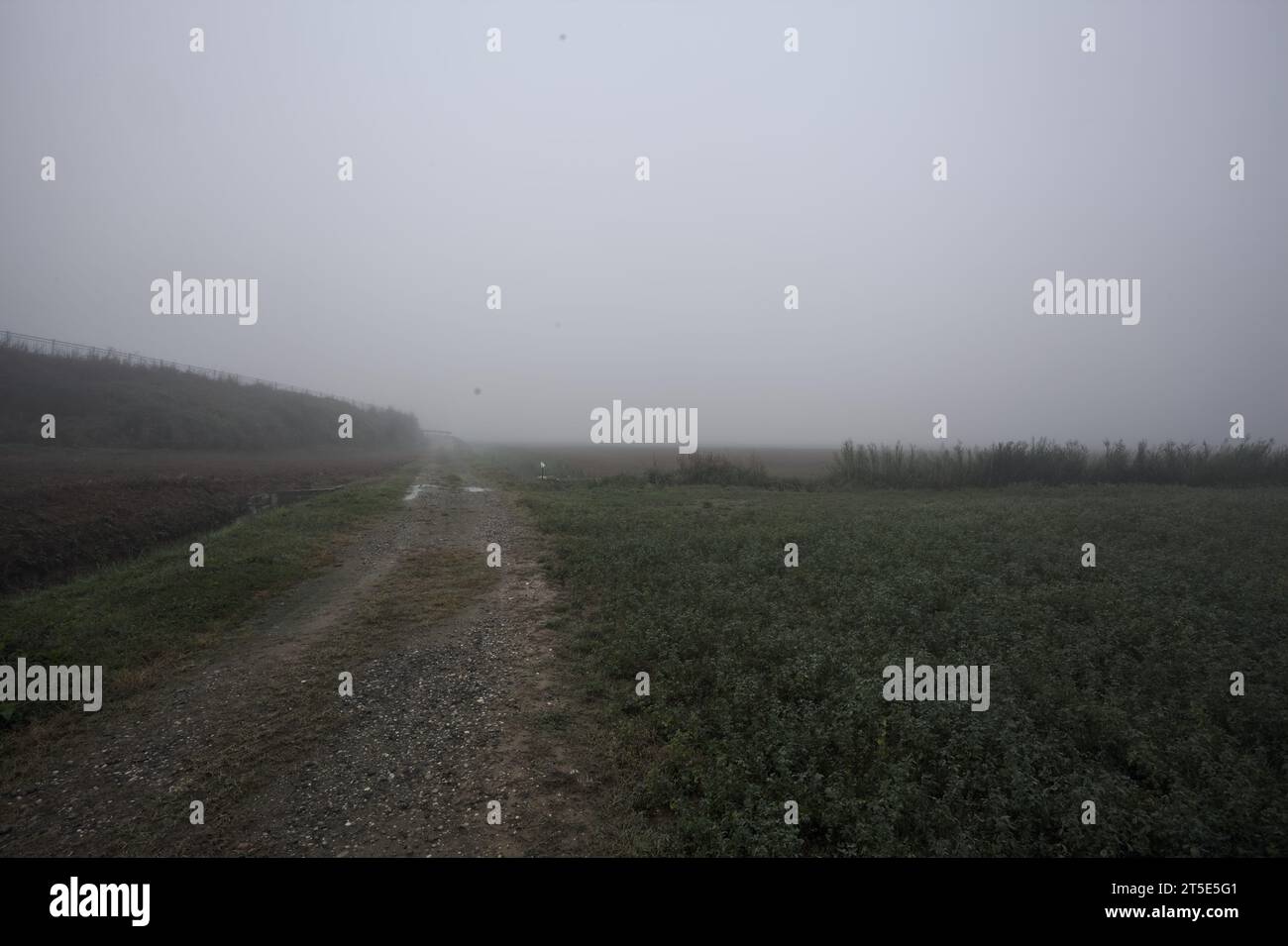 Path  bordered by a ditch next to a field on a foggy day in the italian countryside Stock Photo