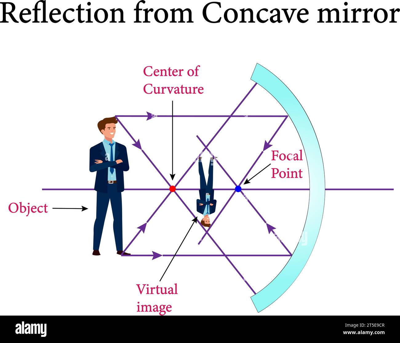 The reflection from convex and concave mirrors ,Reflection and spherical mirrors , optics.Vector illustration. Stock Vector