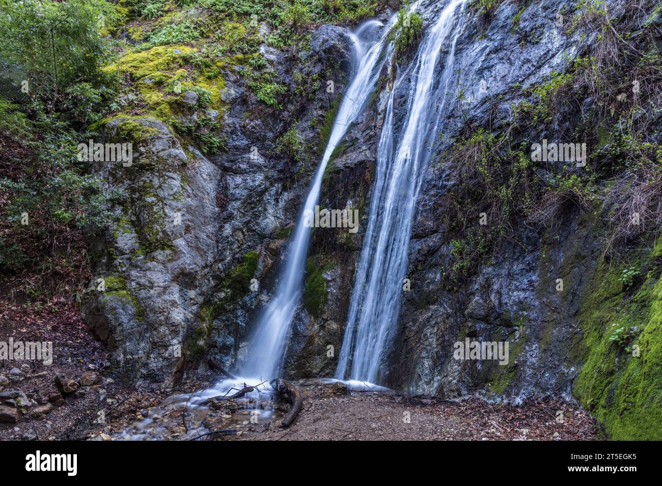 Peiffer Falls Waterfall, in Pfeiffer Big Sur State Park.Water cascading down stone cliff with green vegetation; Branches and sand below. Stock Photo