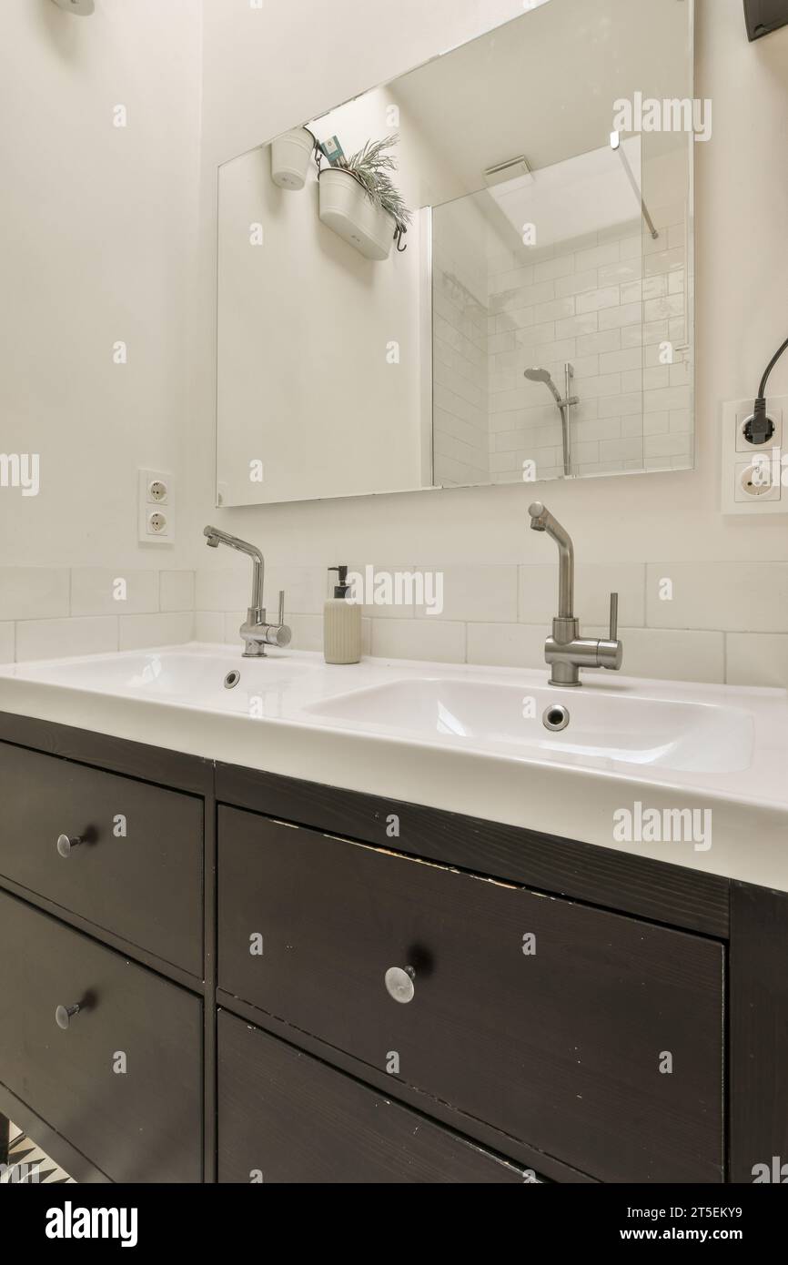 a bathroom with two sinks and a mirror on the wall behind it is a zebra print rug in the floor Stock Photo