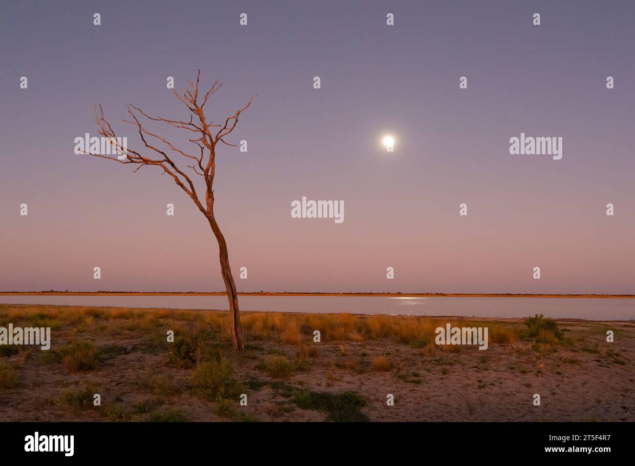 Super Blue Moon rising over a lagoon along the Canning Stock Route ...