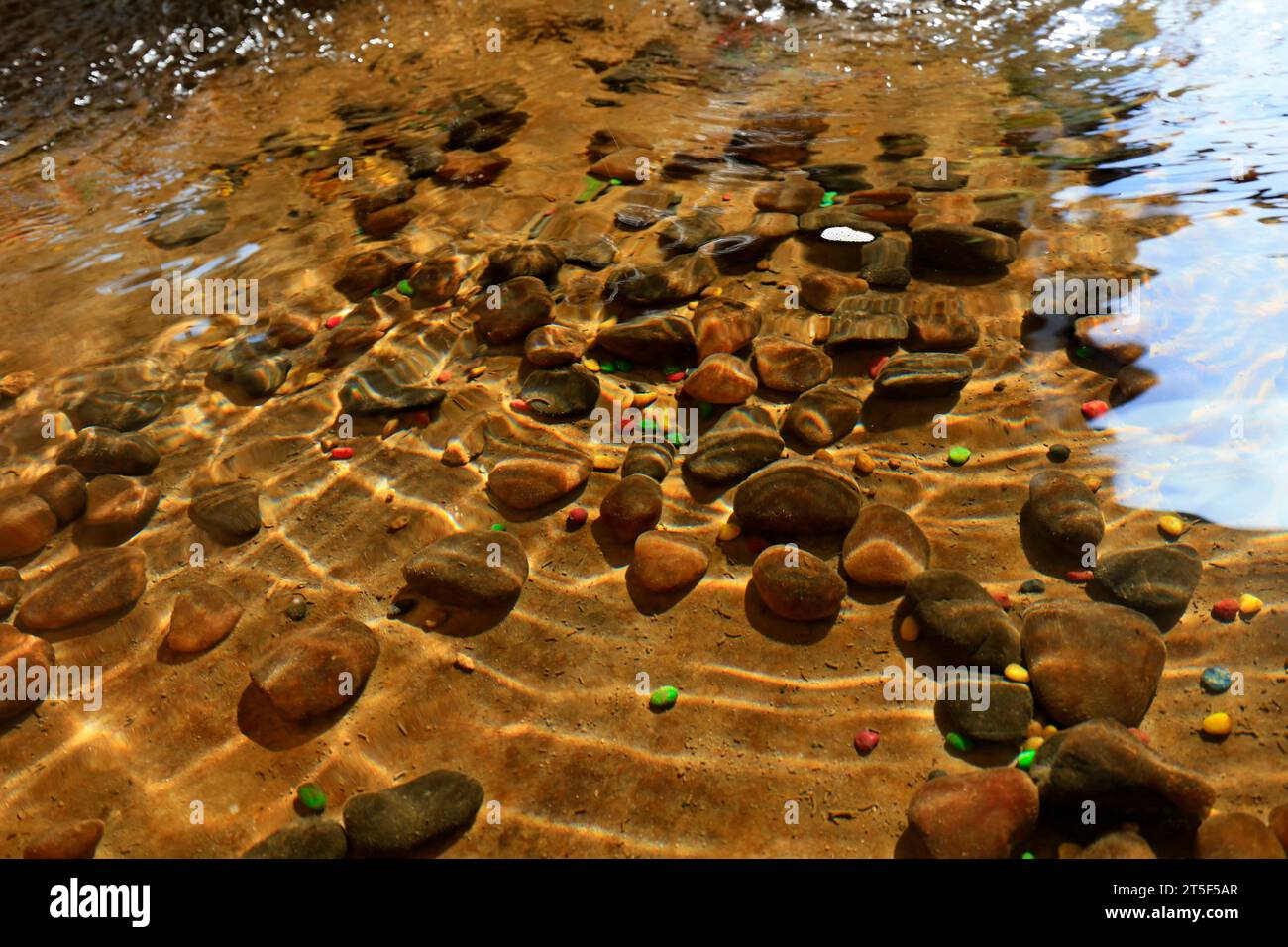 Clear and transparent pebbles of lake water Stock Photo - Alamy