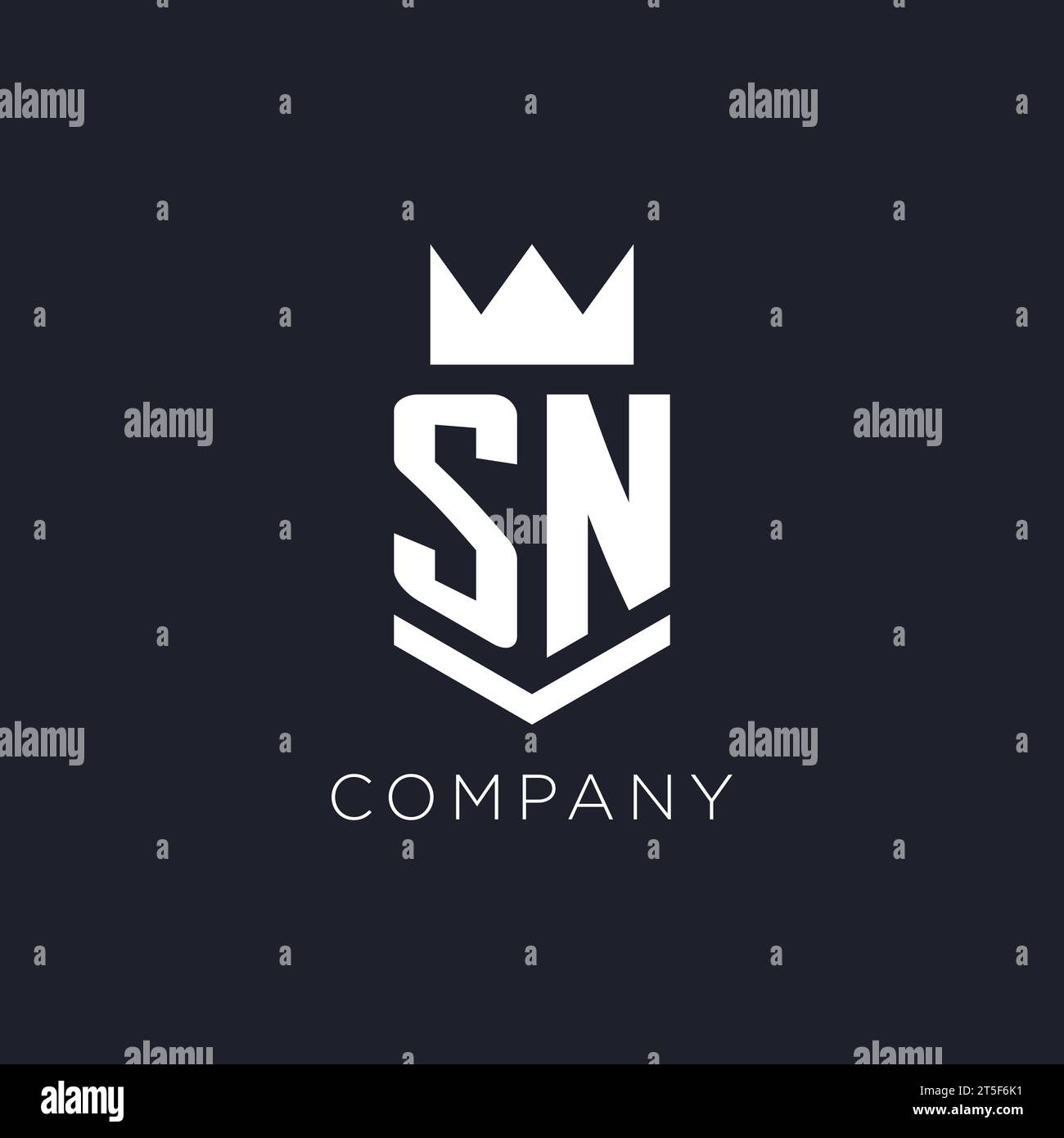 SN logo with shield and crown, initial monogram logo design ideas Stock Vector