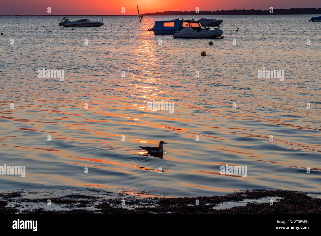 Stimmungsvoller Sonnenuntergang am Meer Ostseeküste Salzhaff Stock Photo