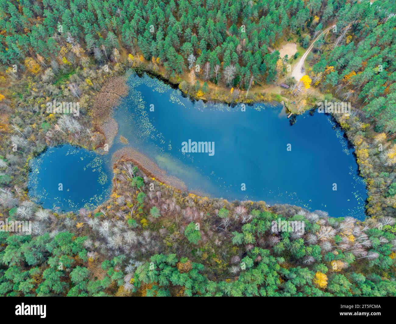Aerial view of a lake in the forests of Lithuania, wild nature. The name of the lake is 'Paperlojo', Varena district, Europe. Stock Photo