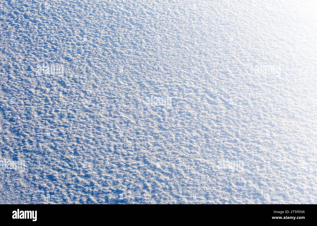 The Winter snow. Snow texture Top view of the snow. Texture for design ...