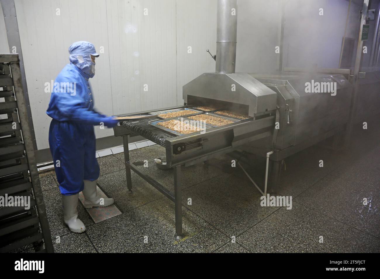 Workers in processed foods, in a factory, on December 20, 2013, tangshan city, hebei province, China. Stock Photo