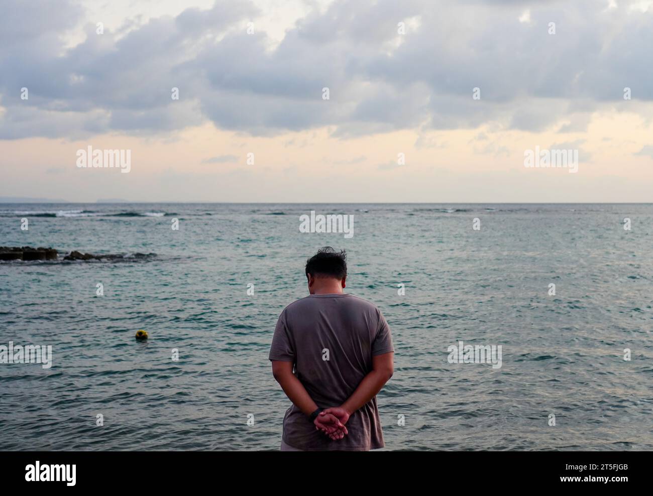 Rear view of a man contemplating on the beachRear view of a man ...