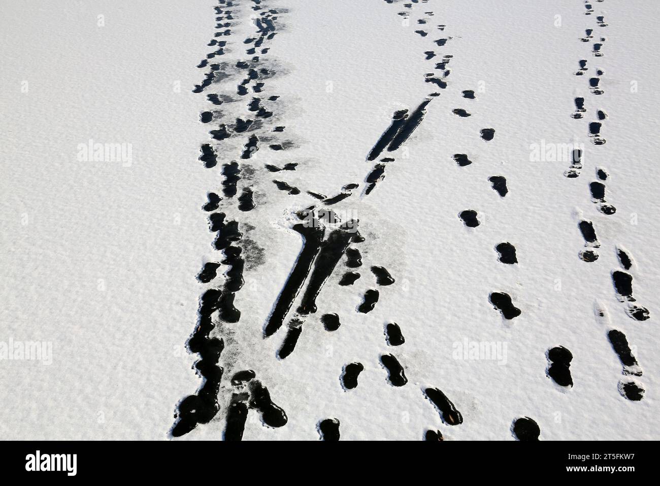 footprints on the ice rivers, closeup of photo Stock Photo