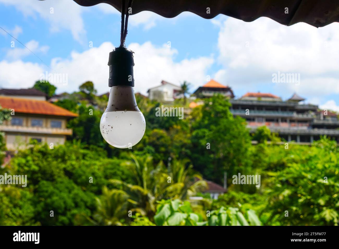 White hanging light bulbs against a backdrop of green trees and traditional buildings Stock Photo