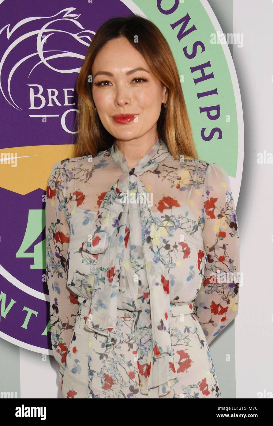 ARCADIA, CALIFORNIA NOVEMBER 04 Lindsay Price attends the 2023