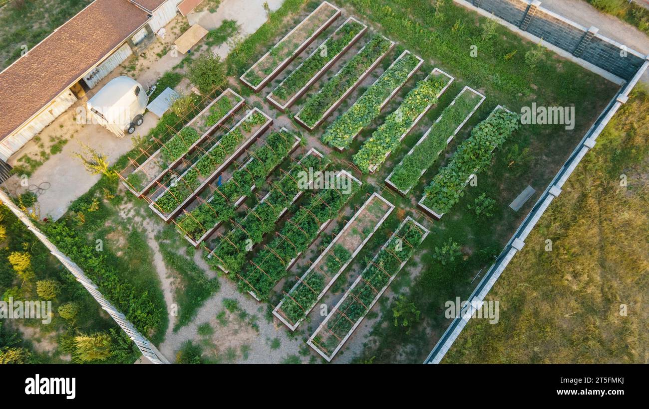 Beds with plants in a fenced area. View from a drone. Growing plants Stock Photo