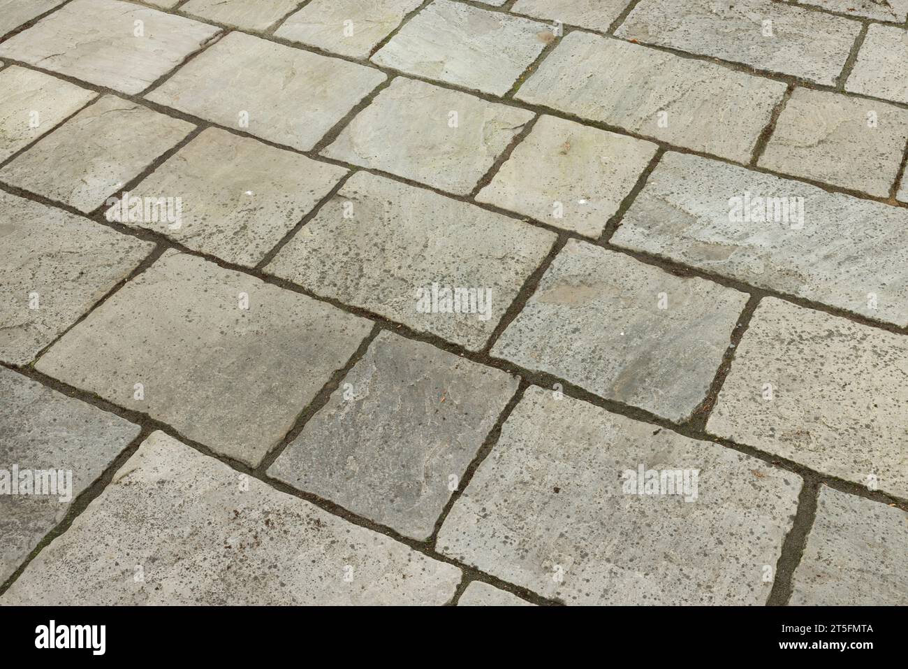 Dirty garden patio paving slabs before cleaning. UK garden with grey