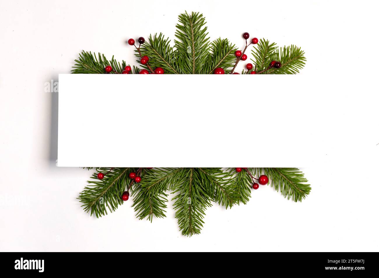 Christmas Border frame of tree branches and red berries on white ...