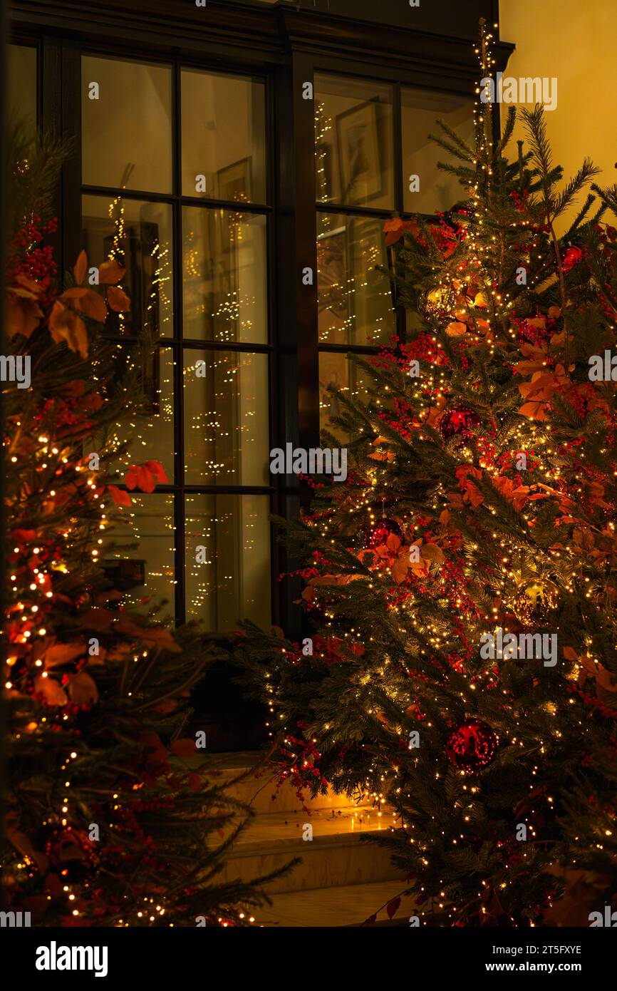 It's a classic Christmas atmosphere image with red-adorned Christmas trees. Divided glass door in the background. Stock Photo