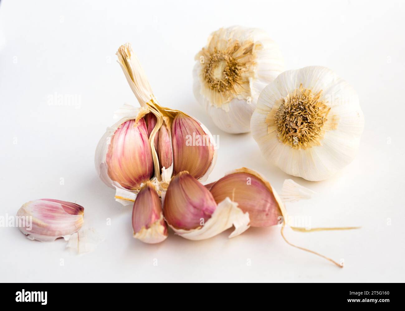 Garlic heads and cloves on white background Stock Photo - Alamy