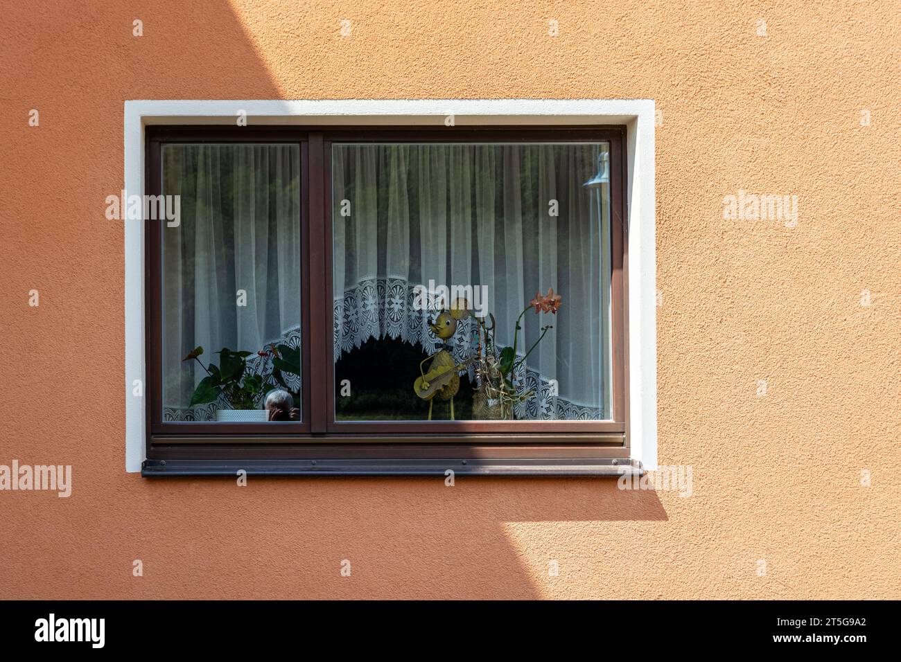 Rectangular window with a white frame on a pink plastered wall. From the series Window of the World. Stock Photo