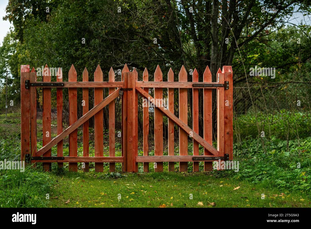 Closed gates made of wooden picket fence, painted red, against a background of green trees. Stock Photo