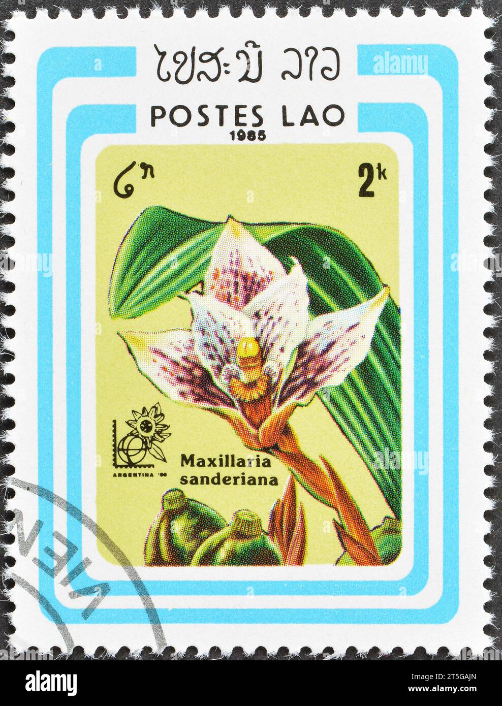 Cancelled postage stamp printed by Laos, that shows Maxillaria sanderiana,  International Stamp Exhibition Argentina, circa 1985. Stock Photo