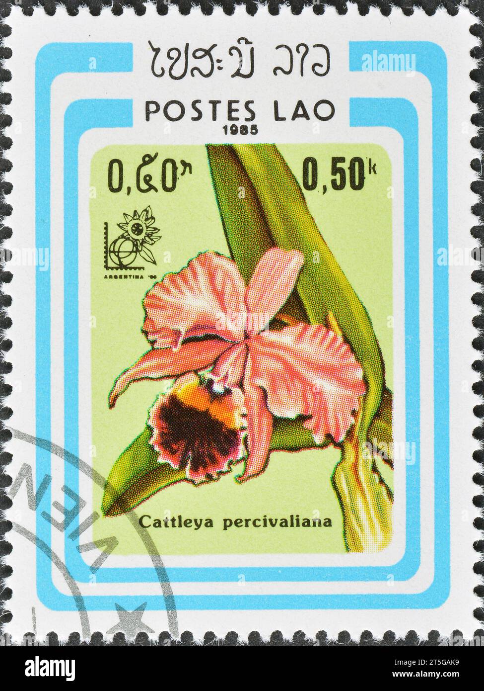 Cancelled postage stamp printed by Laos, that shows Cattleya percivaliana,  International Stamp Exhibition Argentina, circa 1985. Stock Photo