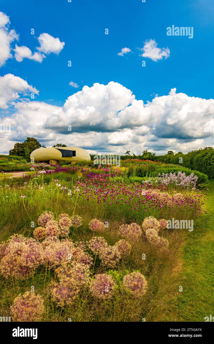 Artistic allium flower heads in a garden created by renowned Dutch designer Piet Oudolf at the Hauser & Wirth Gallery at Bruton, Somerset, England, UK Stock Photo