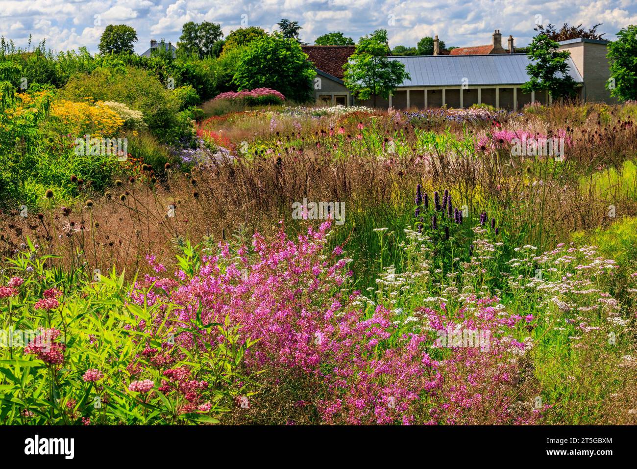 Colourful summer borders in the garden created by renowned Dutch designer Piet Oudolf at the Hauser & Wirth Gallery at Bruton, Somerset, England, UK Stock Photo