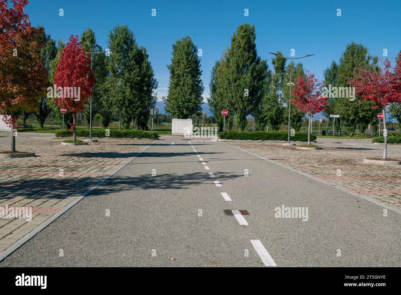 road, double carriageway without people in an area near a park with plants at the bottom of the road. the summer and the emptiness of the city. empty Stock Photo