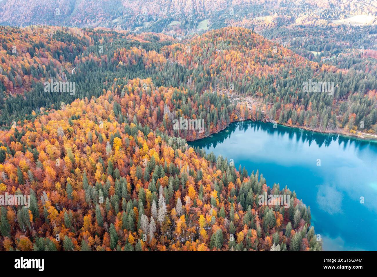 Aerial view autumn tree colors hi-res stock photography and images - Alamy