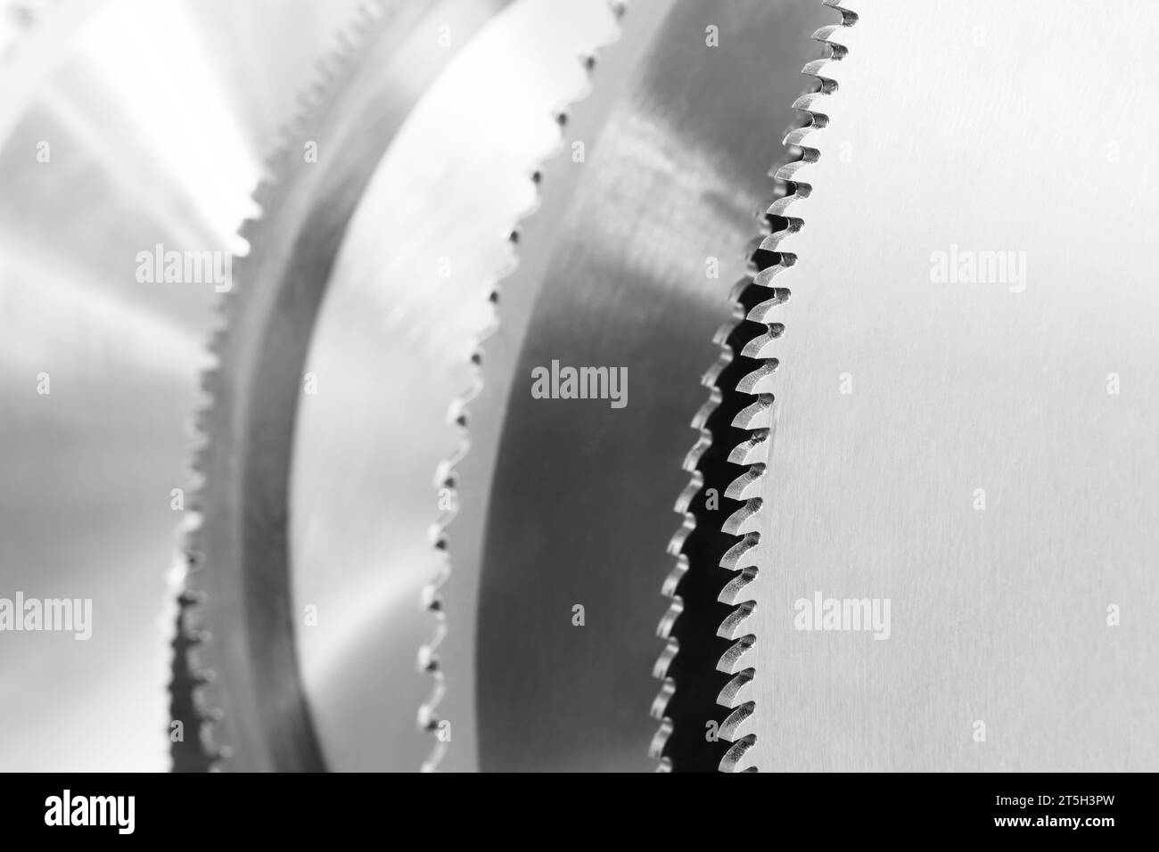 Toofh tip of circular saw blade closeup Stock Photo Alamy