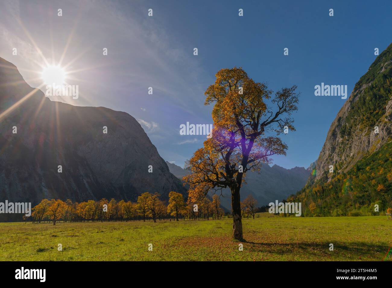 Colorful fall foilage in the Ahorn Boden, Maple Ground, Engtal or Eng Valley,  nature reserve Karwendel Masif, the Alps, Tyrol, Austria, Stock Photo