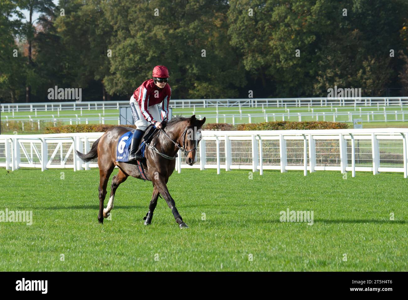 Estacas horse hires stock photography and images Alamy