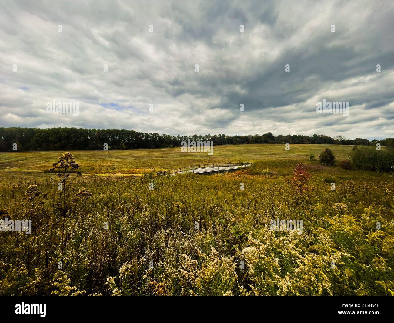 Kennett Square, PA – US – Oct 14, 2023 View of the Meadow Garden of Longwood Gardens, a botanical garden in the Brandywine Creek Valley Stock Photo