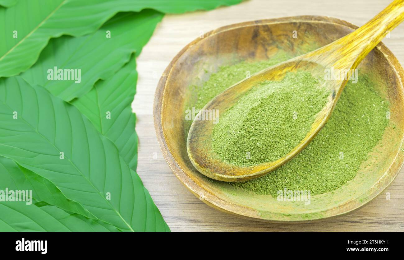 Kratom Mitragyna Speciosa an alternative medicine powder in wooden spoon bowl Stock Photo